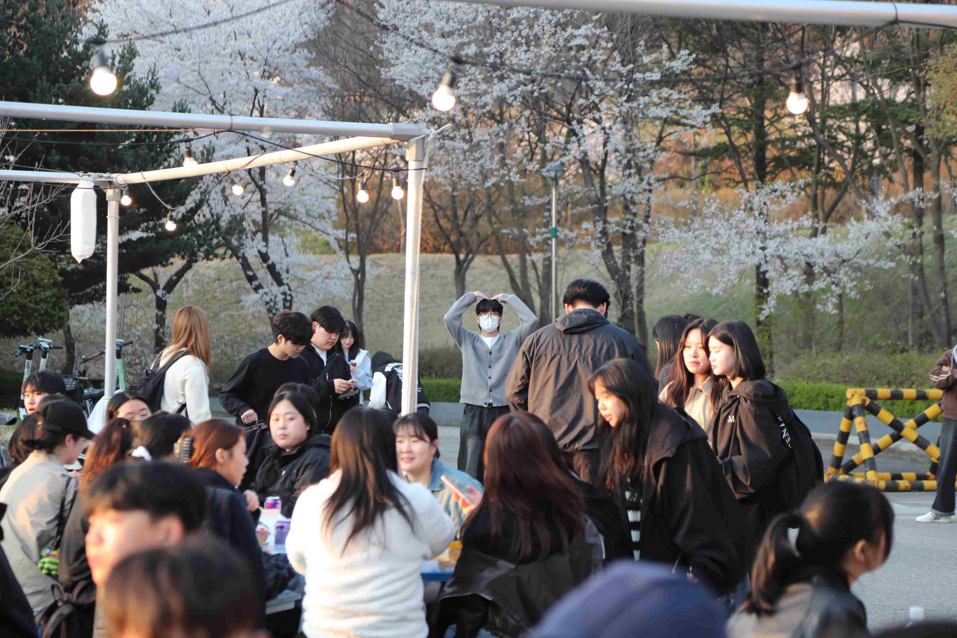 제2회 봄꽃축제 앵화제