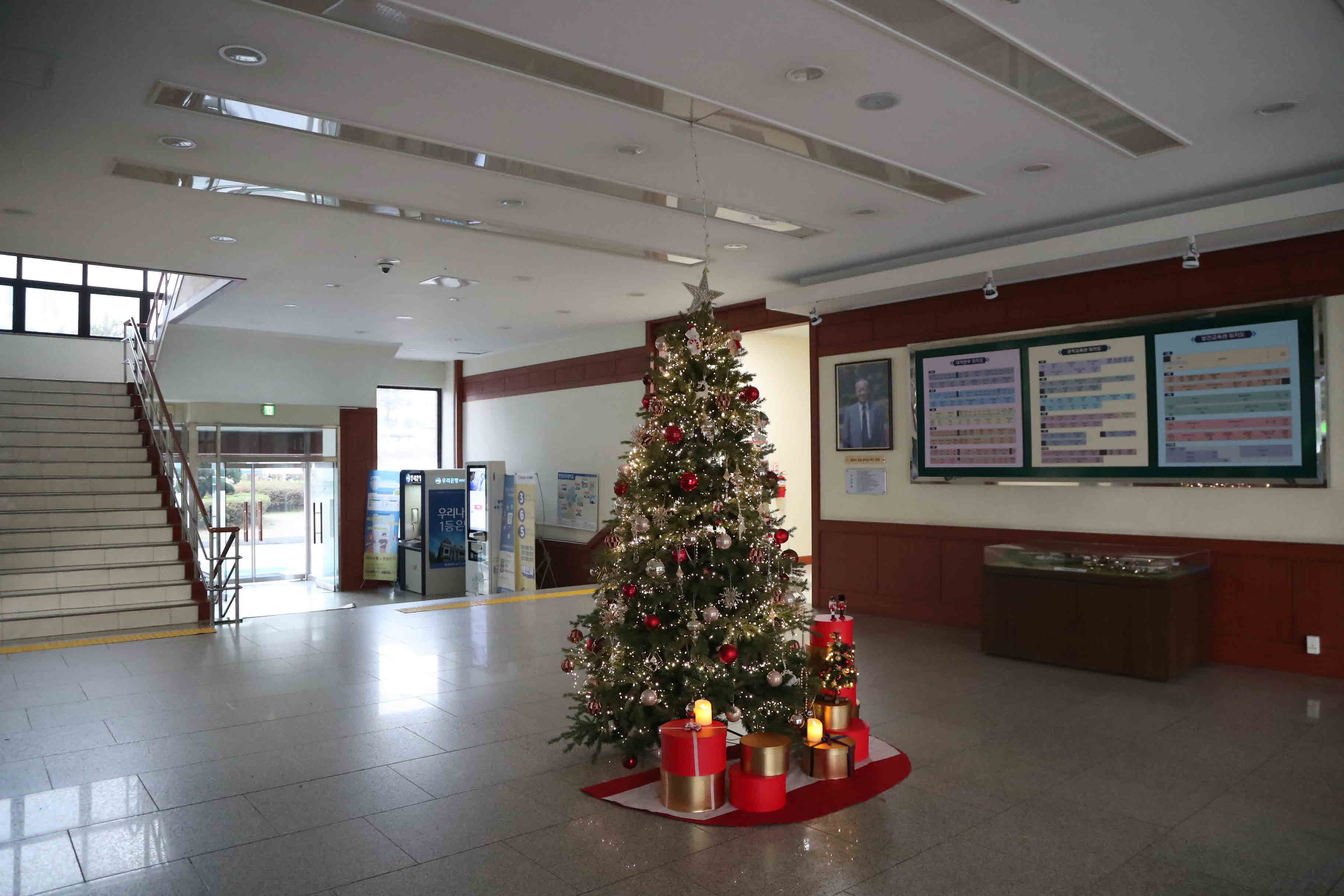 2024년 크리스마스 트리