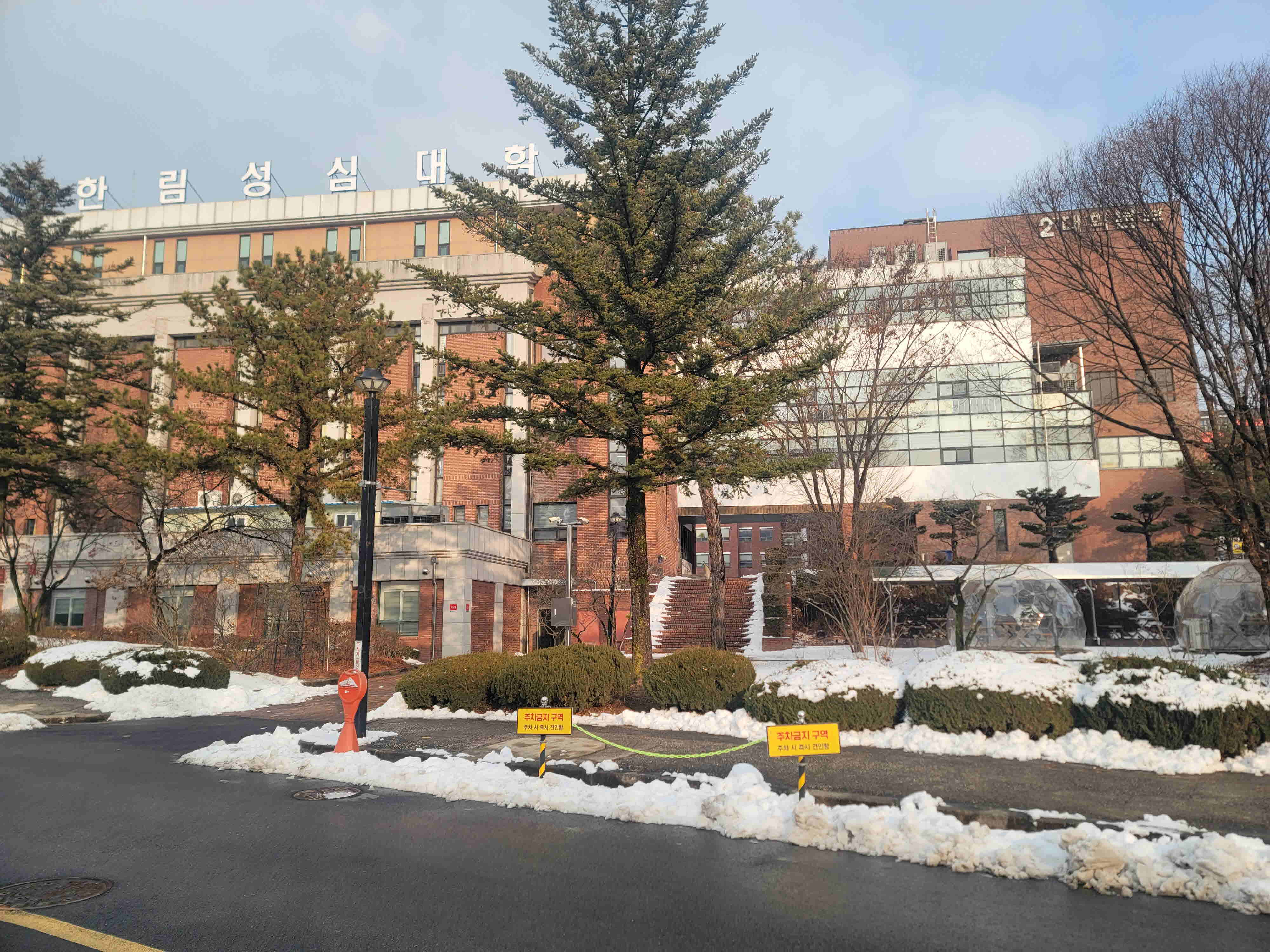 2024년 한림성심대학교의 겨울