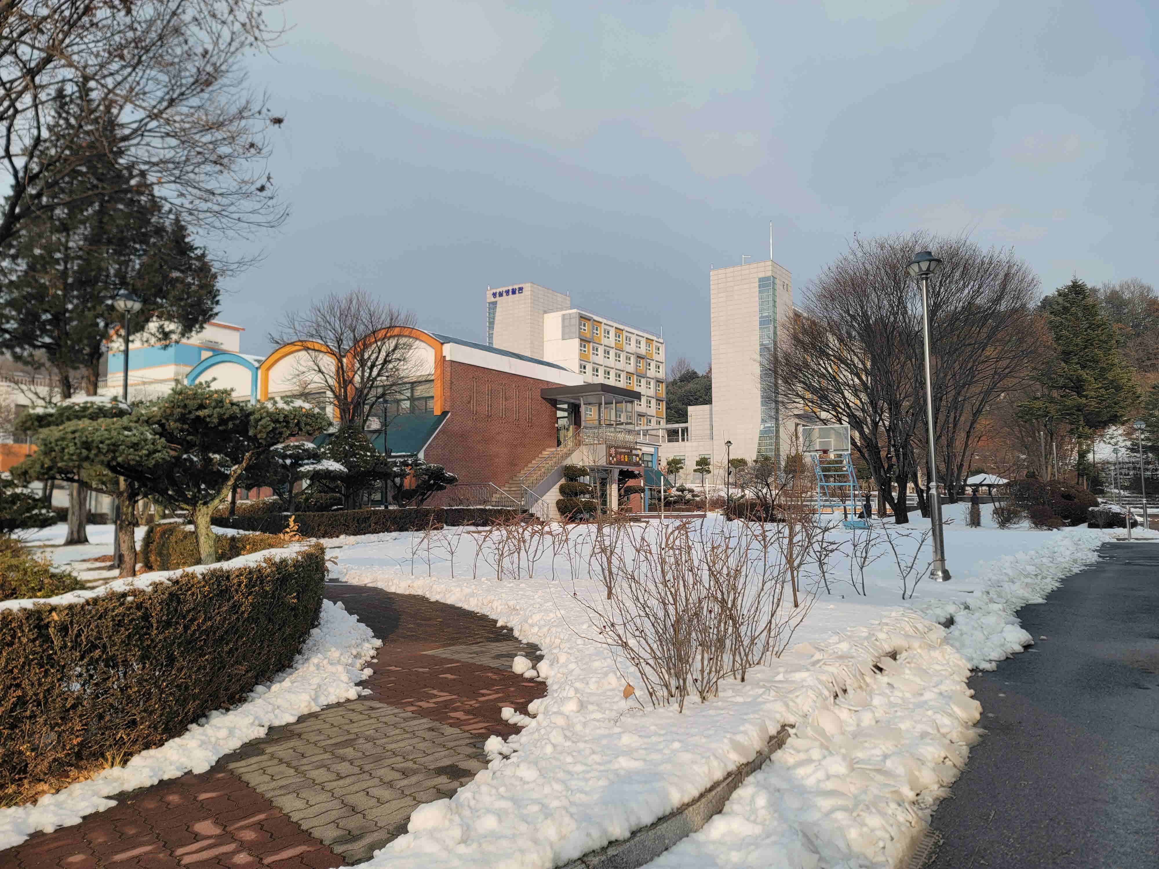 2024년 한림성심대학교의 겨울