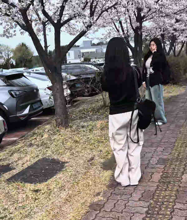 2025년 한림성심대학교의 봄