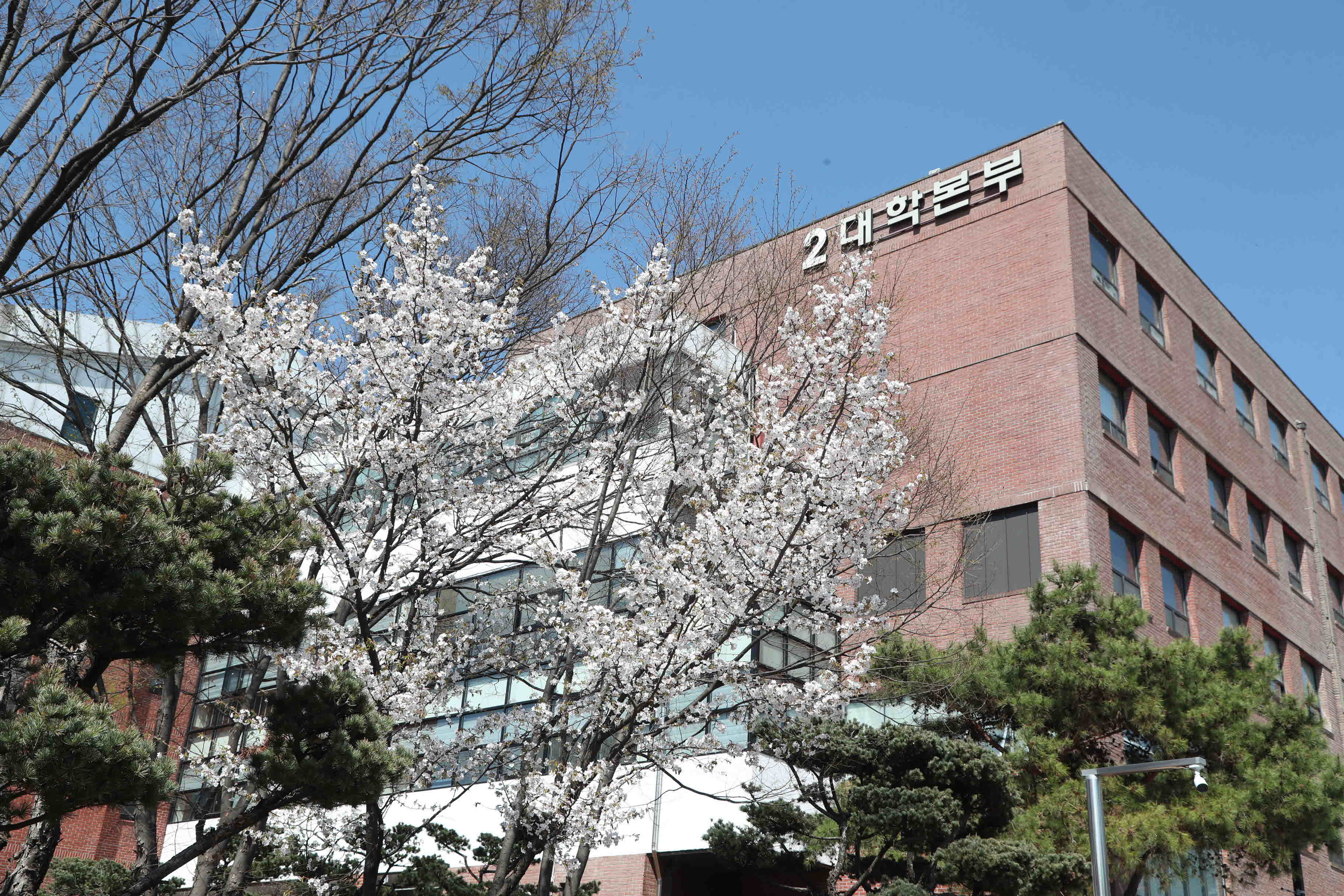 2025년 한림성심대학교의 봄