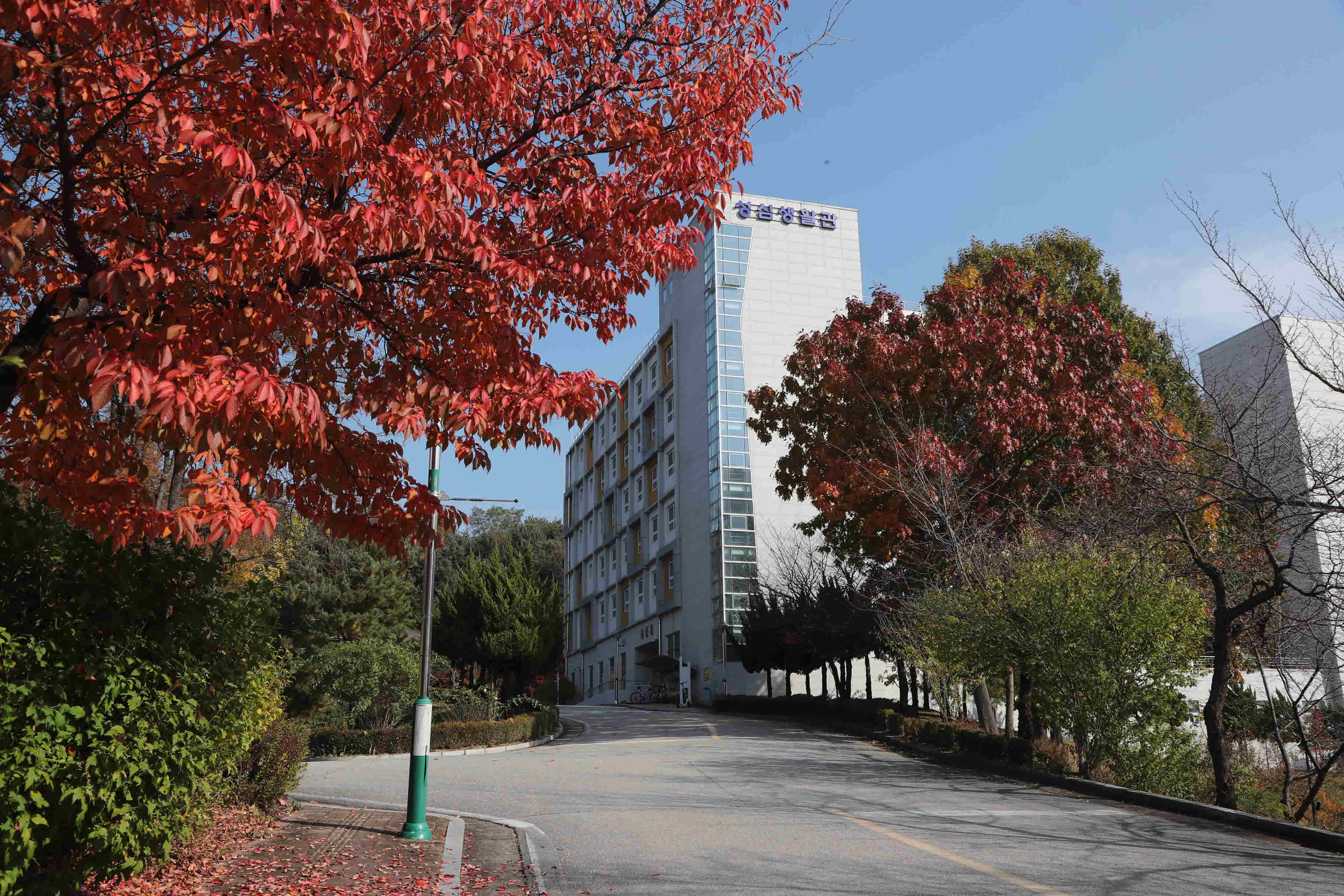 2025년 한림성심대학교의 가을