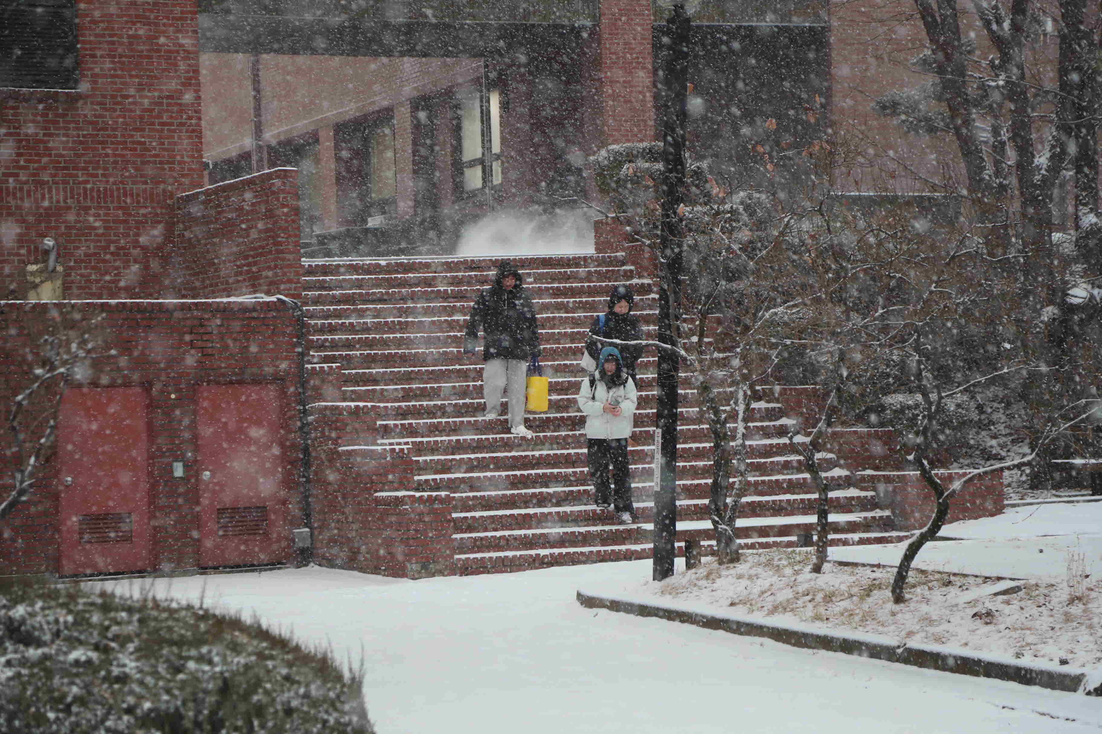 2025년 한림성심대학교의 겨울 모습